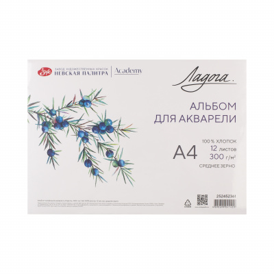 albom_dlya_akvareli_ladoga_300g_kv_m_a4_210kh297mm_12l_skleyka_srednee_zerno_khl_100