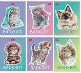 Блокнот А6 40л клетка спираль Котики бывают разными Hatber /6