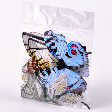 20116-228x228