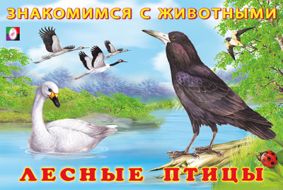 xjp7zhzeobmypsgdt5wnfnyhhdx17s6m