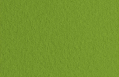 d11858809762l