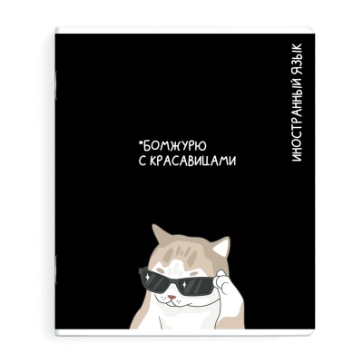Тетрадь предметная 48л А5 клетка скрепка Коты Мемы Иностранный язык Феникс /16