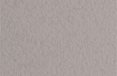 d4020400755l