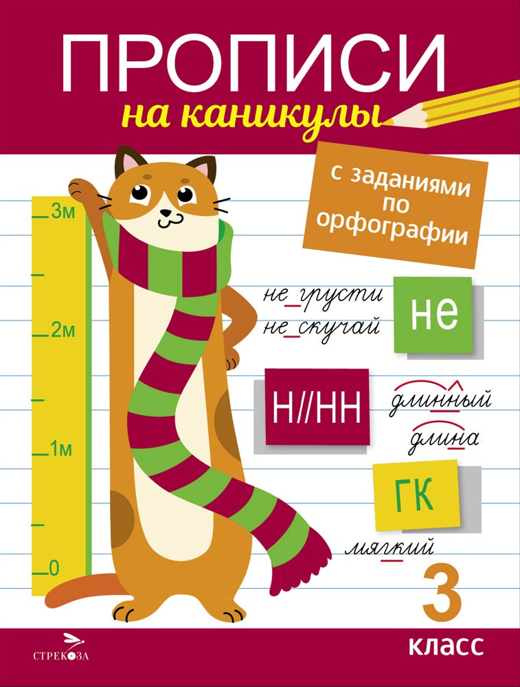 Прописи А4 с заданиями по орфографии 3кл Стрекоза