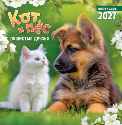 kofnpq11ypotnz3384tcdrhepfa0hj0h
