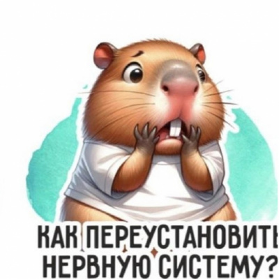b20c09e0d6f511ef87de08606e73b7b0_4dfbb9ddd86d11ef87de08606e73b7b0.720x660