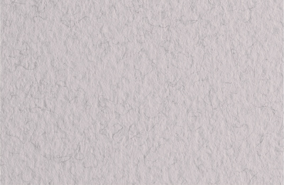 d4020400717l