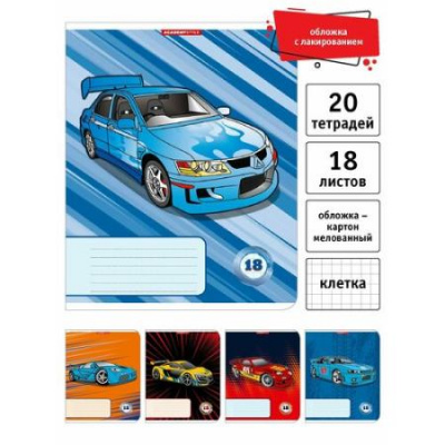 tetrad-a518-listov-na-skrepke-kletka-academy-style-20-st-14334-5