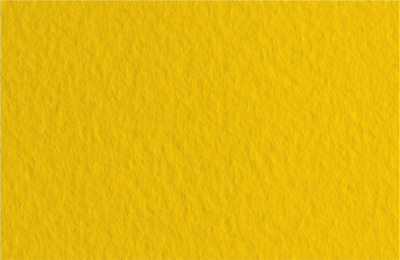 d4020400730l