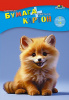 preview_C1832_21_