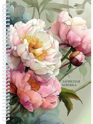 загружено (48)