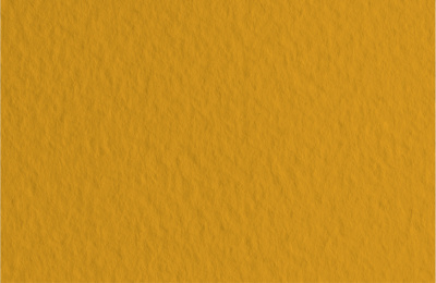 d4020400701l