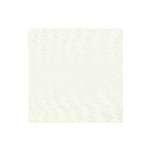 WCPP-A5--1