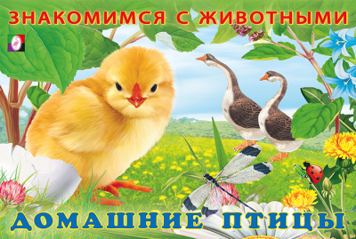 cuv81lg7d4y7w45is513lm079xk67nhk
