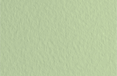 d4020400741l