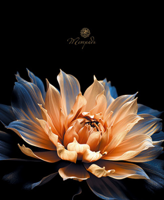 preview_C0231_07_