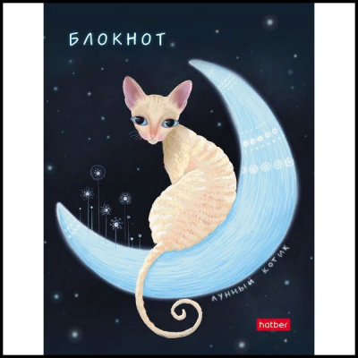 Бизнес-блокнот А6 80л кл Лунный кот Hatber