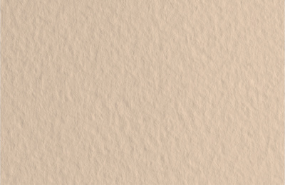 d11858748732l