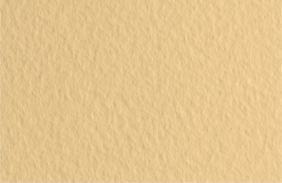 d11858069282l