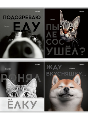 1icjzlt5rbjdgsr5i8c1j0vfbwarutq7