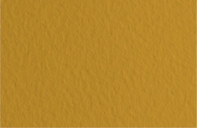 d4020400738l