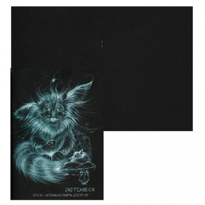 Блокнот А5 20л черная 120г Sketchbook Black 1