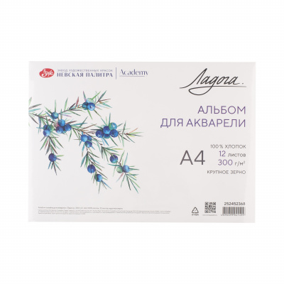 albom_dlya_akvareli_ladoga_300g_kv_m_a4_210kh297mm_12l_skleyka_krupnoe_zerno_khl_100