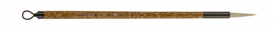 UT-00001009_1
