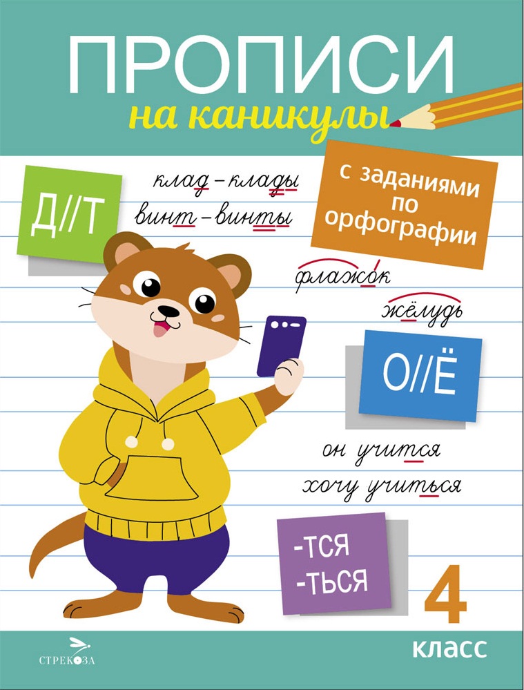 Прописи А4 с заданиями по орфографии 4кл Стрекоза