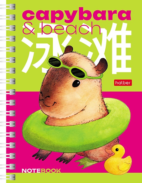 Записная книжка А6 80л клетка спираль Капибара day Hatber /6
