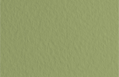 d4020400706l