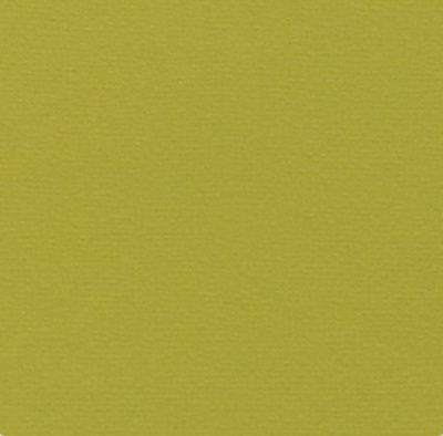 Бумага А2 160г 50*65см д/пастели Lana Colours фисташковый