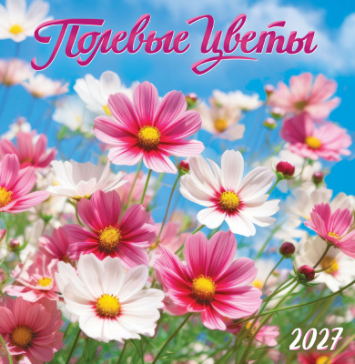 tj40rt5apye9693r9cp0i2xm469g4n22