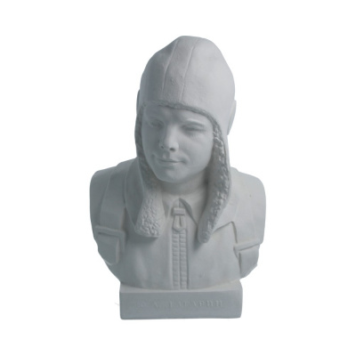 d55089862982l