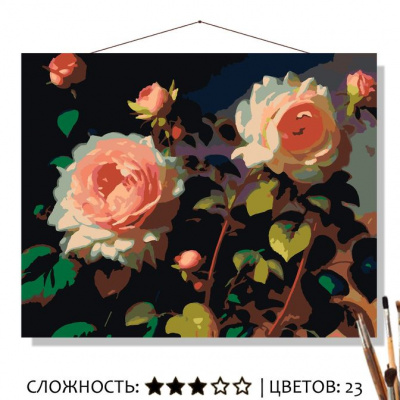 розы д