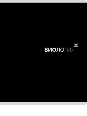 загружено - 2026-05-26T155742.870